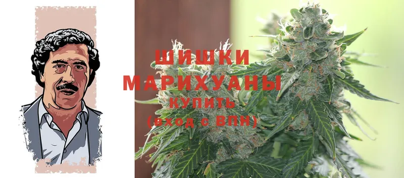 дарнет шоп  Нижние Серги  Шишки марихуана Ganja 